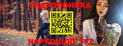 МДПВ Дубна